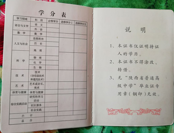 陕西高中毕业证学分表怎么填（陕西高中毕业证学分表图片）