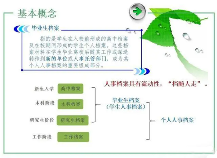 大专学籍档案里面都有什么材料