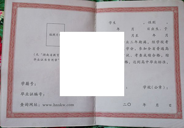 湘乡市第一中学2005年毕业证