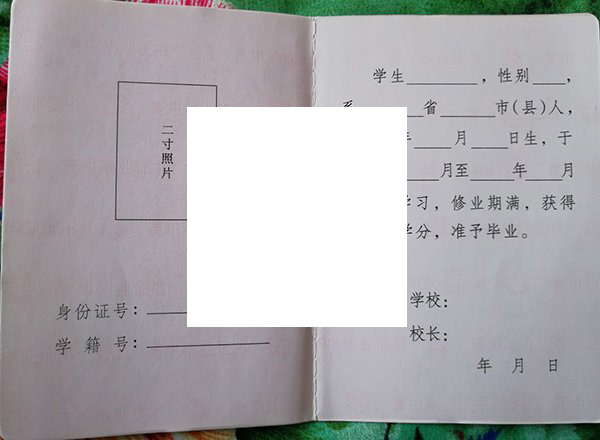 渭南市杜桥中学毕业证样本