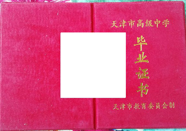 天津市铃铛阁外国语中学2003年毕业证