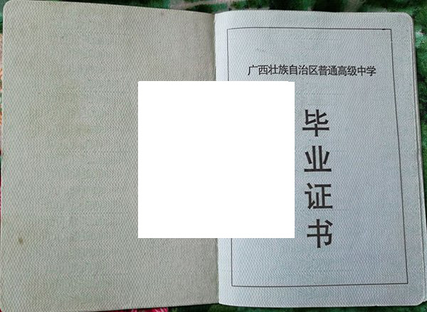 苍梧第一中学2003年毕业证