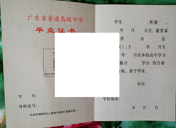 广州培正中学毕业证书查询