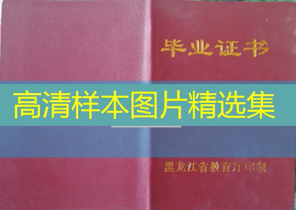 黑河市中专（职中）毕业证样本及学校排名