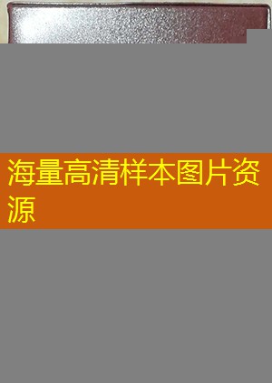 伊春市高中毕业证样本图片pdf