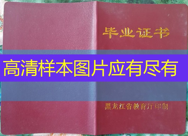 鸡西市中专（职中）毕业证样本图片网上能查到吗