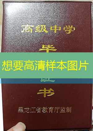 鹤岗市高中毕业证样本图片