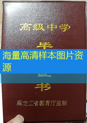 双鸭山市高中毕业证样本能买到吗