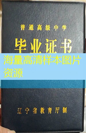 阜新市高中毕业证样本丢了能补吗